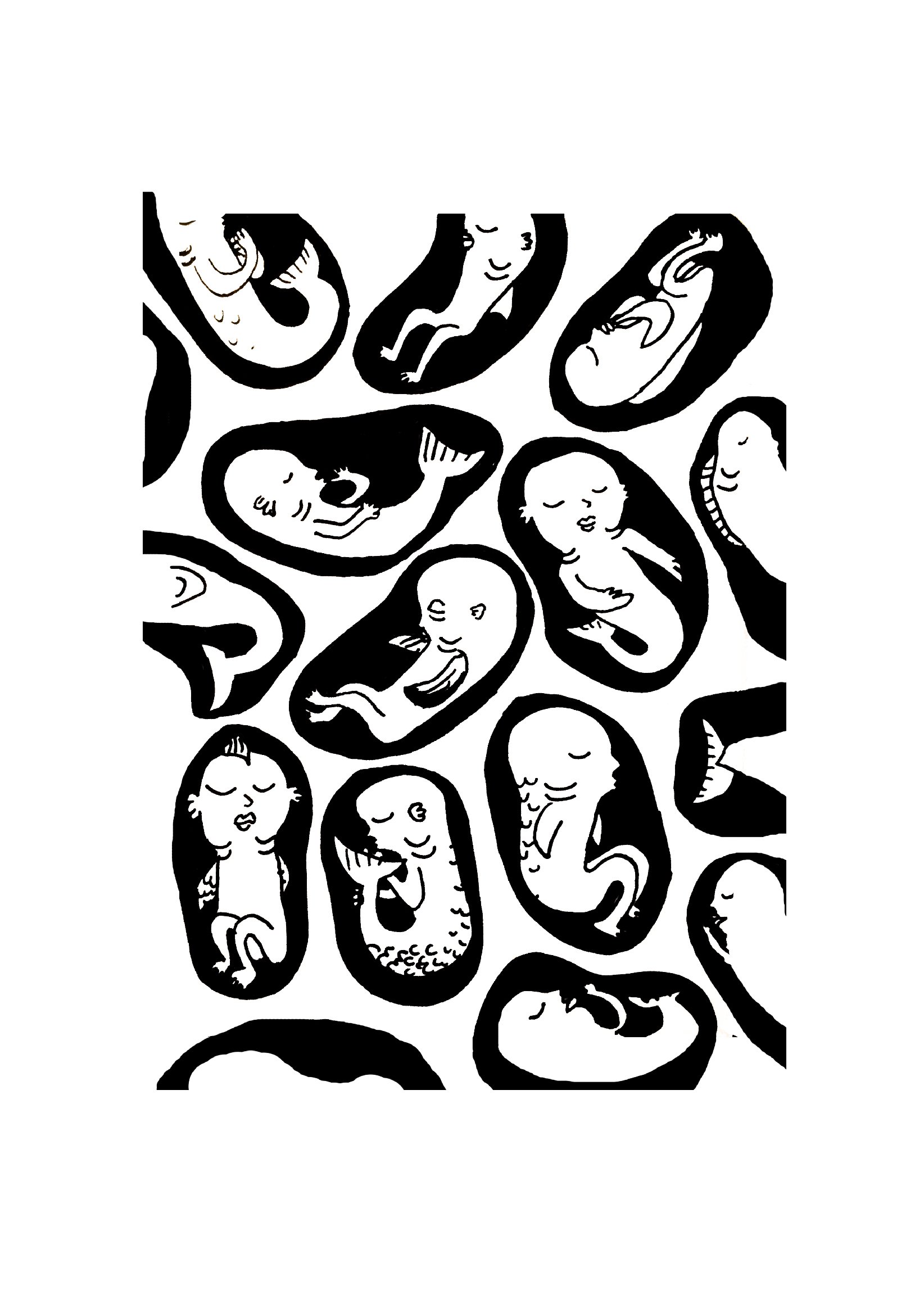fishes5.jpg