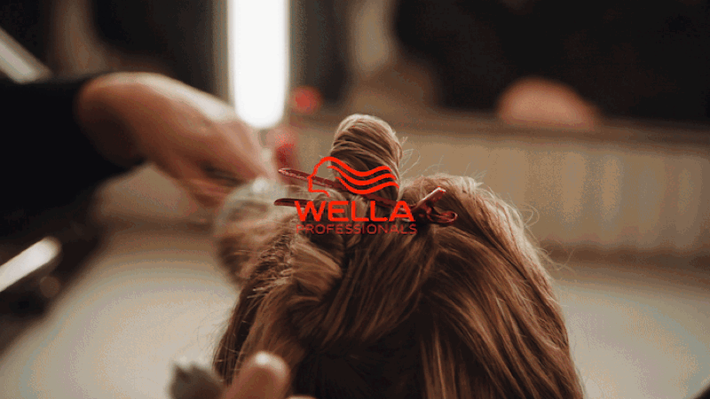 wella - masterbrand