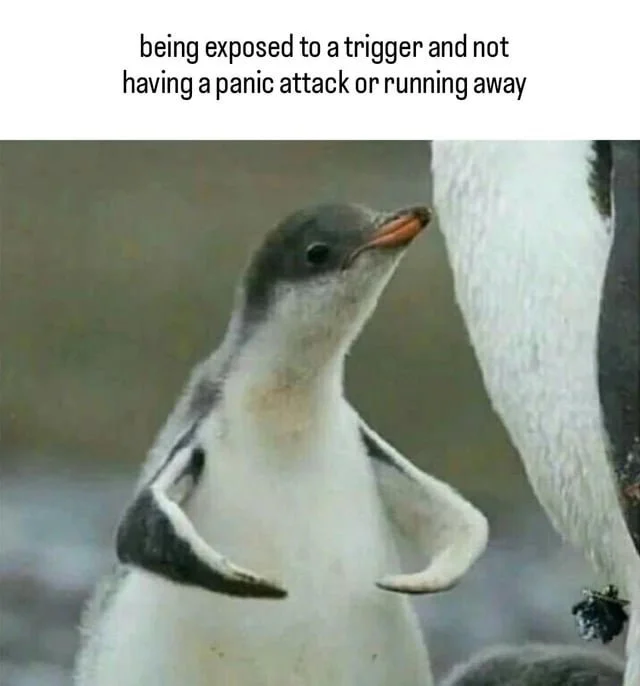 1000013065.jpg