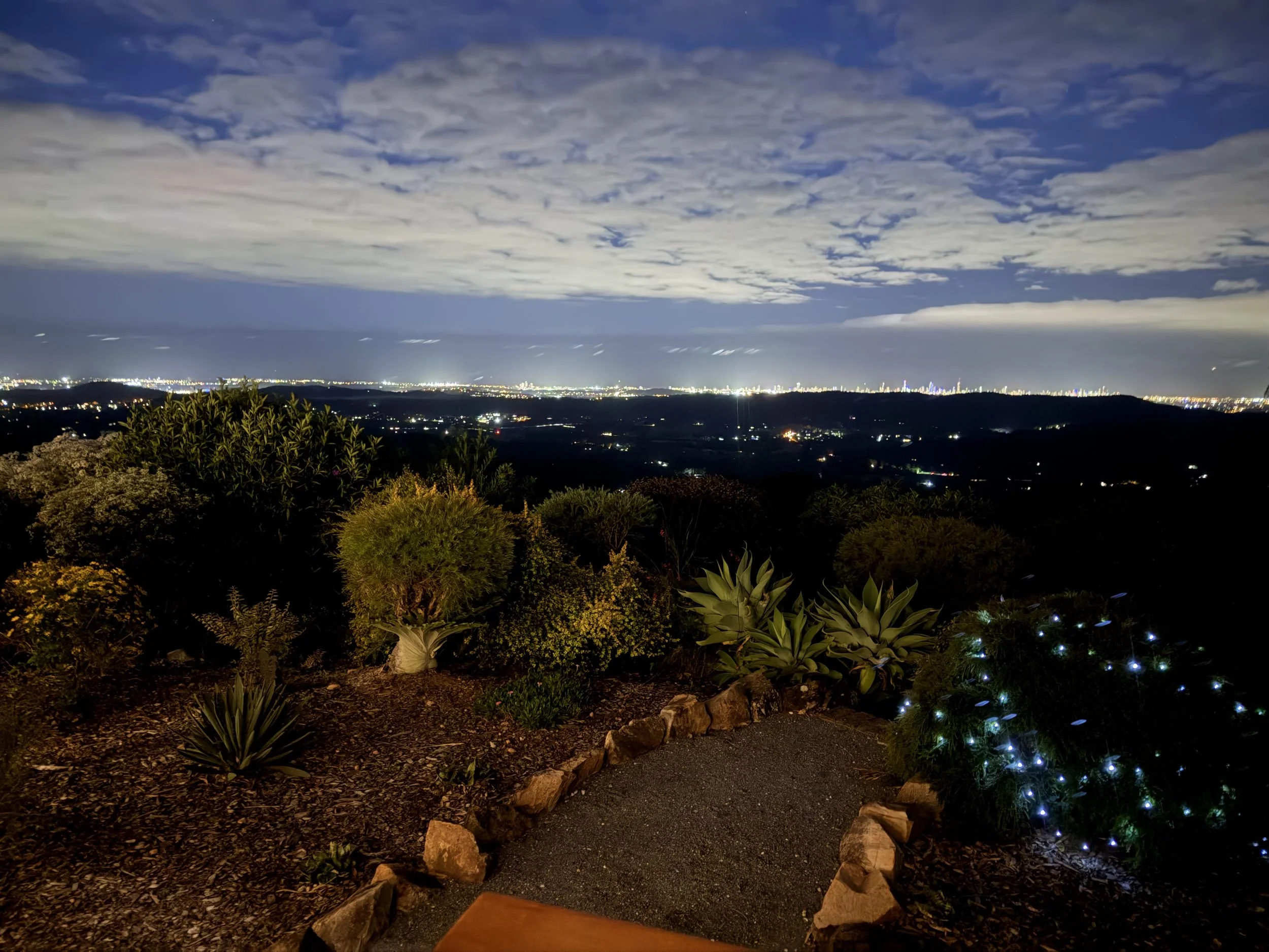 Night view of a city skyline from a hillside with trees and bushes in the foreground, illuminated city lights and a cloudy sky overhead.
