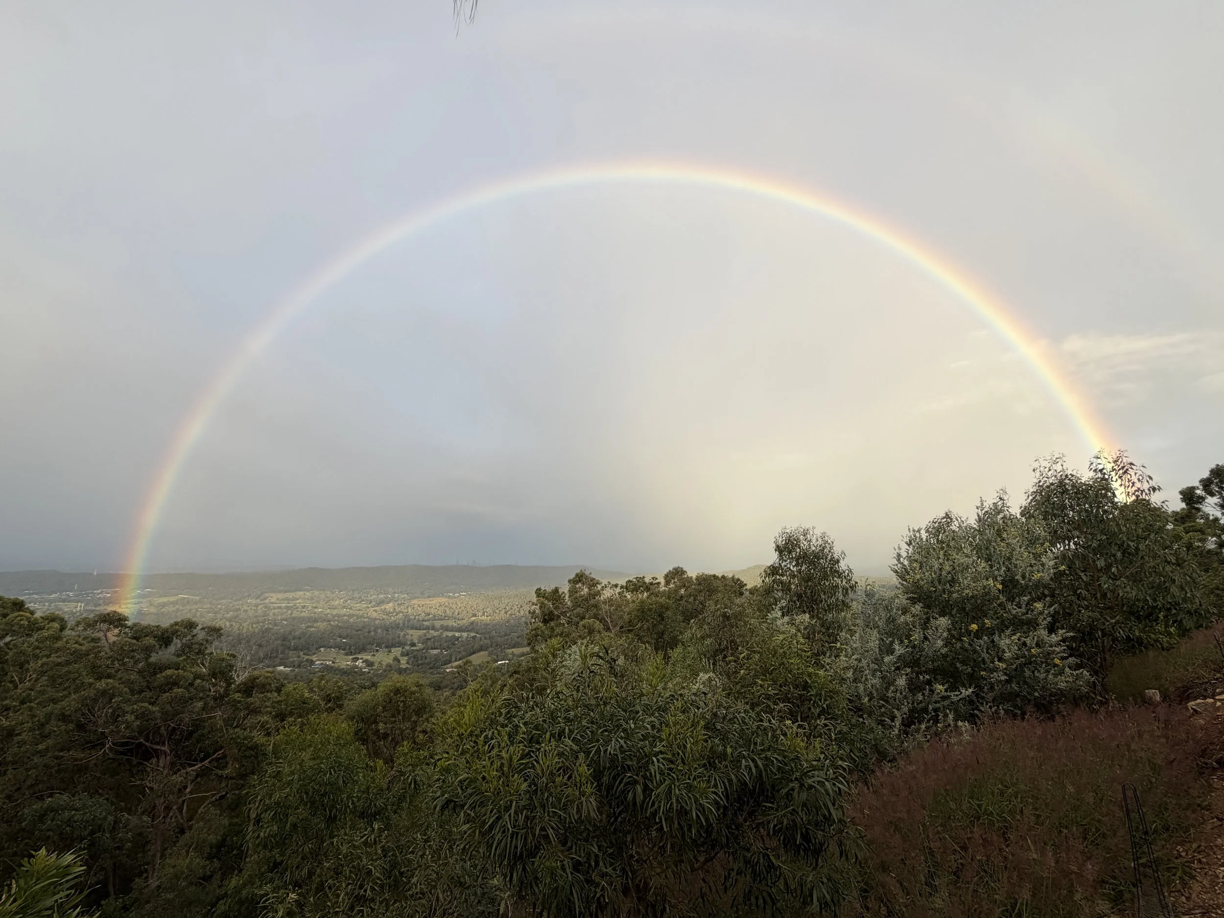 Multiple rainbows over a lush green landscape with trees and a cloudy sky.