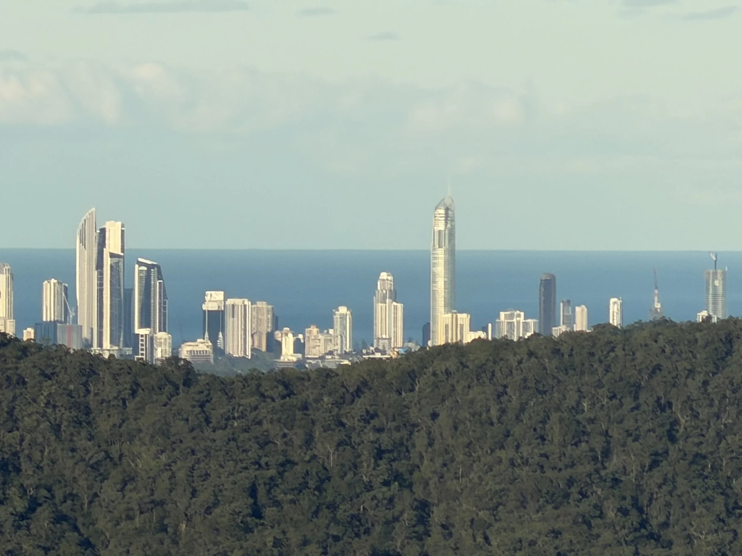 City skyline with tall skyscrapers viewed over a dense forest with green trees in the foreground, the sky is partly cloudy.