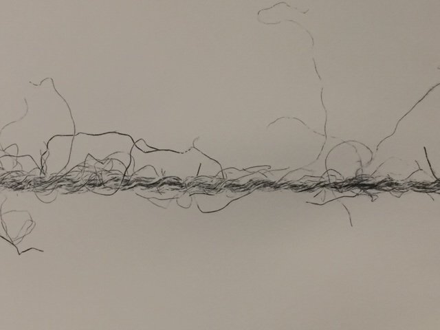  2 Metres (detail),  2019, Sisal string with ink etched onto watercolour paper. 2 metres. 