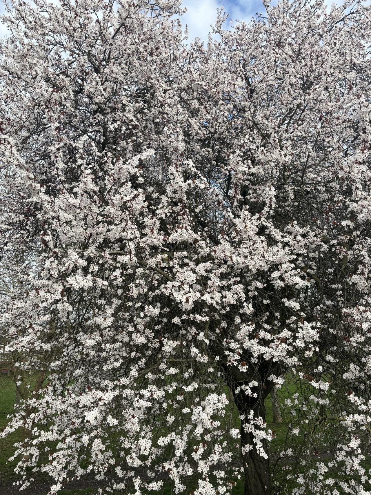 Parent newsletter April 2026