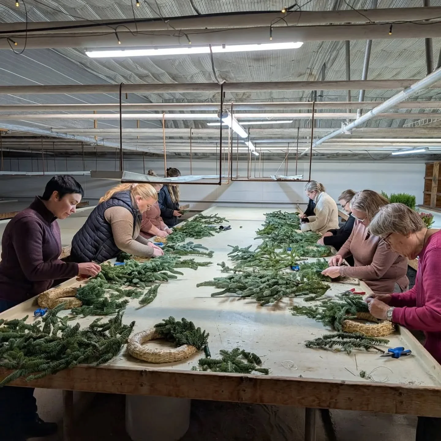 Kv&auml;llens flitiga kursdeltagare som skapat h&auml;rliga d&ouml;rrkransar under stor koncentration! 

En mysigt stund att f&aring; skapa och vara kreativ, fika och umg&aring;s. 

10 december kl 18-20 har vi kurs igen! D&aring; skapar vi dekoration