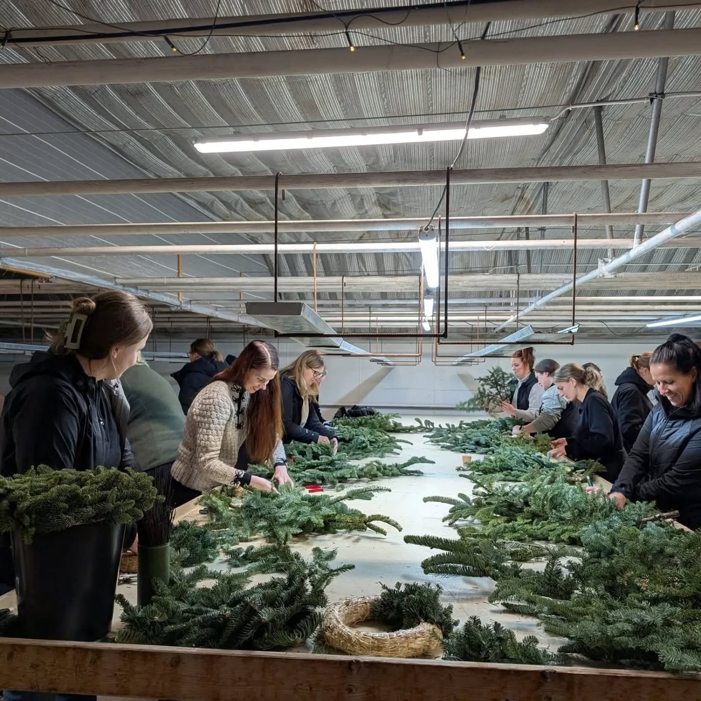 Fullt hus i v&aring;rt v&auml;xthus n&auml;r Aktivitetsgruppen p&aring; Svenska F&ouml;nster kom p&aring; bes&ouml;k f&ouml;r att g&ouml;ra d&ouml;rrkransar!