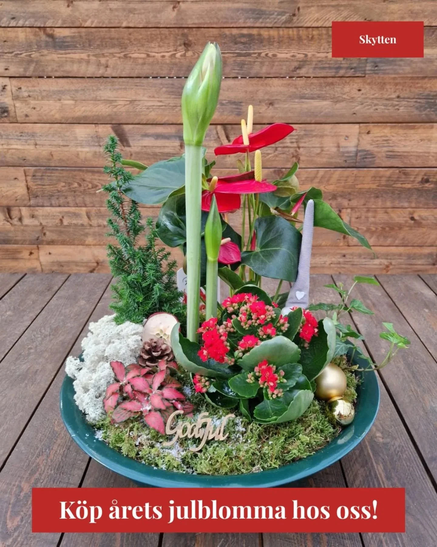 Snart jul och d&aring; v&auml;rnar vi ju alla lite extra om n&auml;ra och k&auml;ra. Denna vackra julgrupp kan du best&auml;lla via v&aring;r hemsida (f&ouml;lj l&auml;nken nedan).

Den &auml;r &auml;ven allergiv&auml;nlig.

Vi levererar sj&auml;lva 