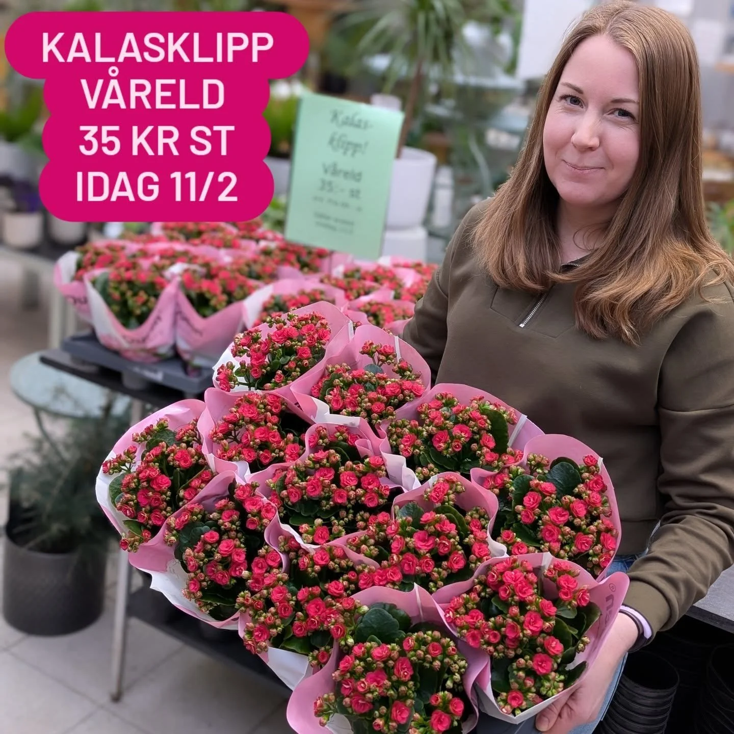 🎉 HIPP HURRA! 🎉
Florist Linda fyller 35 &aring;r idag! 🎂

Det firar vi med ett kalasklipp p&aring; stora, fina v&aring;reld:
35 kr st!
(Ord. Pris 69 kr st)

G&auml;ller endast idag 11/2 och s&aring; l&aring;ngt lagret r&auml;cker.