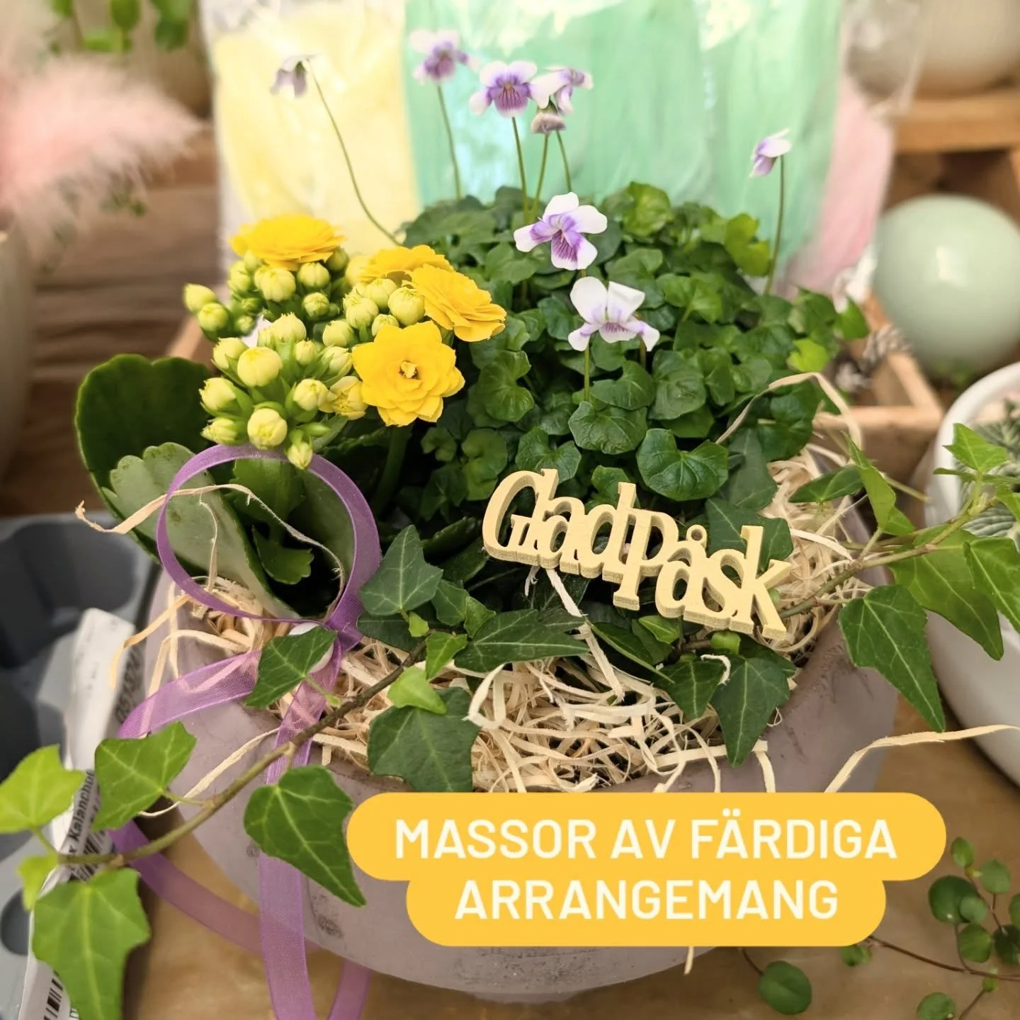 V&auml;lkomna helgen och solen med blommor! 

Vi har allt och lite till, passande b&aring;de ute och inne.

V&auml;lkomna!