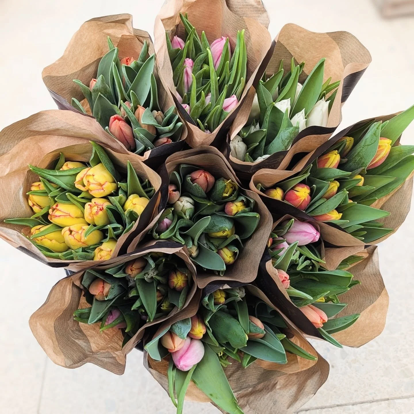 S&auml;songens sista tulpaner 🌷

Denna vecka &auml;r sista veckan vi har tulpanbuntar i snittkylen.
Finns b&aring;de mixade f&auml;rger och enf&auml;rgade 10-pack. 
Passa p&aring; att njuta in i det sista!

V&auml;lkomna 🌷