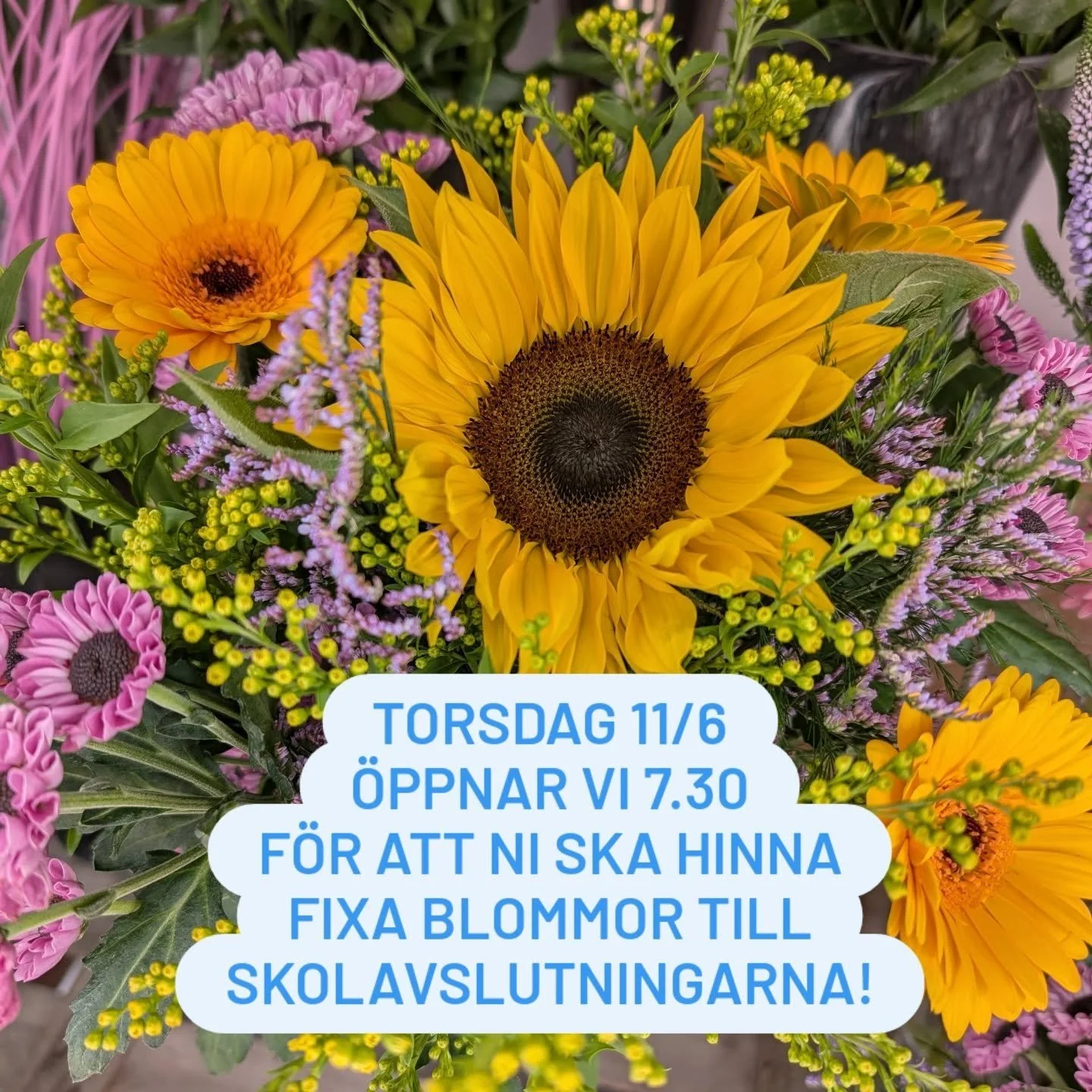 Torsdag 11/6 &ouml;ppnar vi redan kl 7.30 f&ouml;r att ni ska hinna fixa blommor till alla skolavslutningar! V&auml;lkomna! 🌼