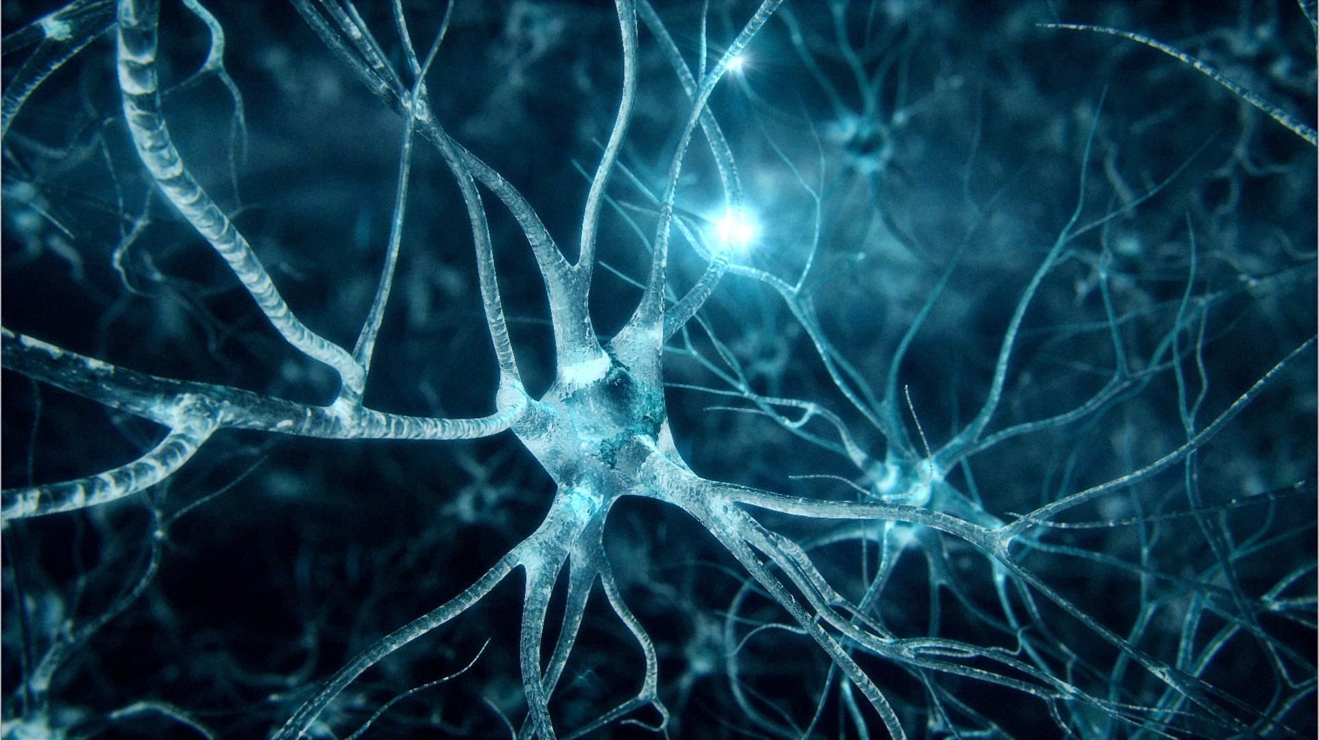 Introduction to Neural Networks