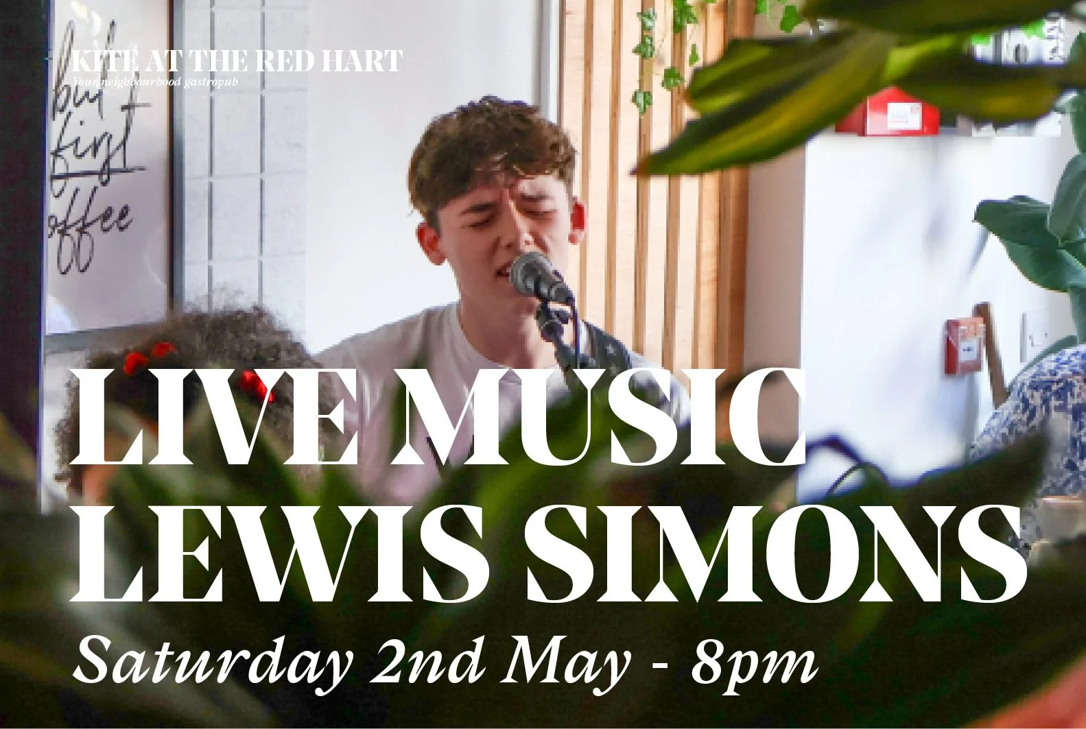 Live Music: Lewis Simon