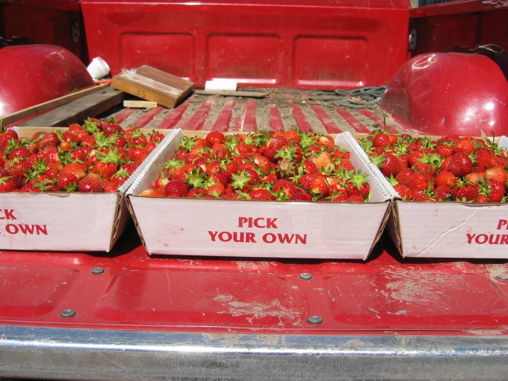 strawberries on truck.jpg
