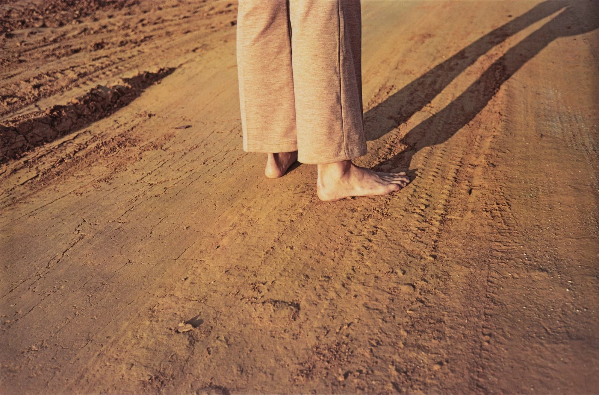 215172_001.jpg