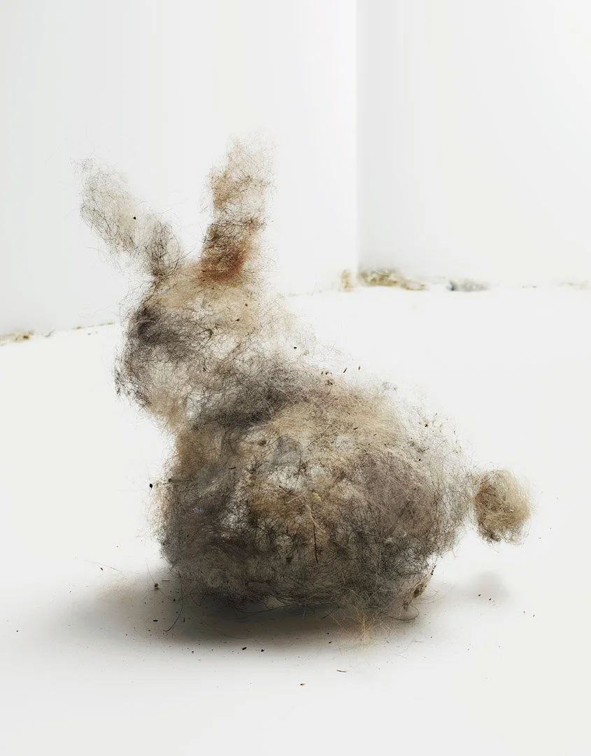 dust-bunny-SPD-winner-model-lg.jpg
