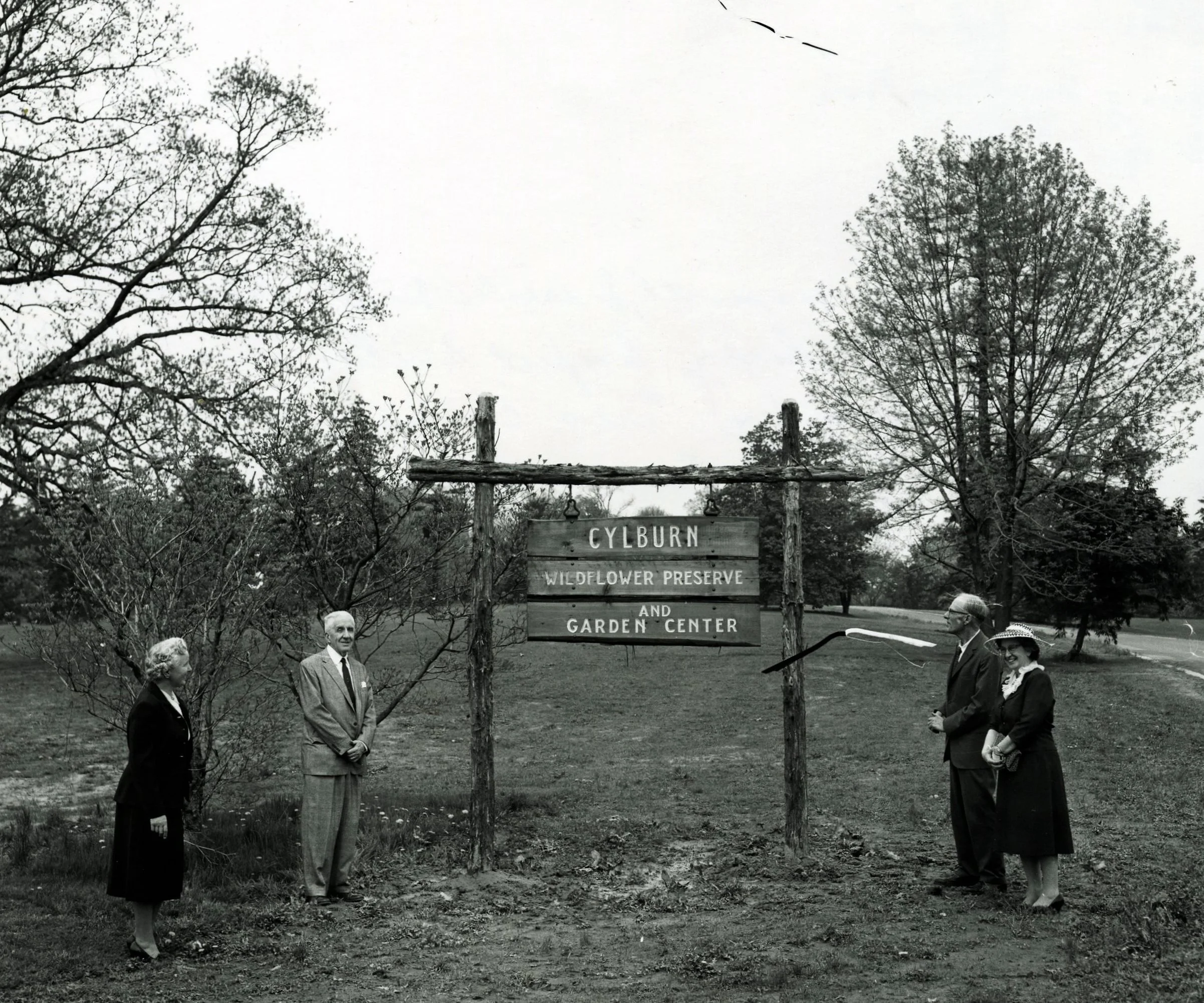 early pic wildflower preserve (2).jpg