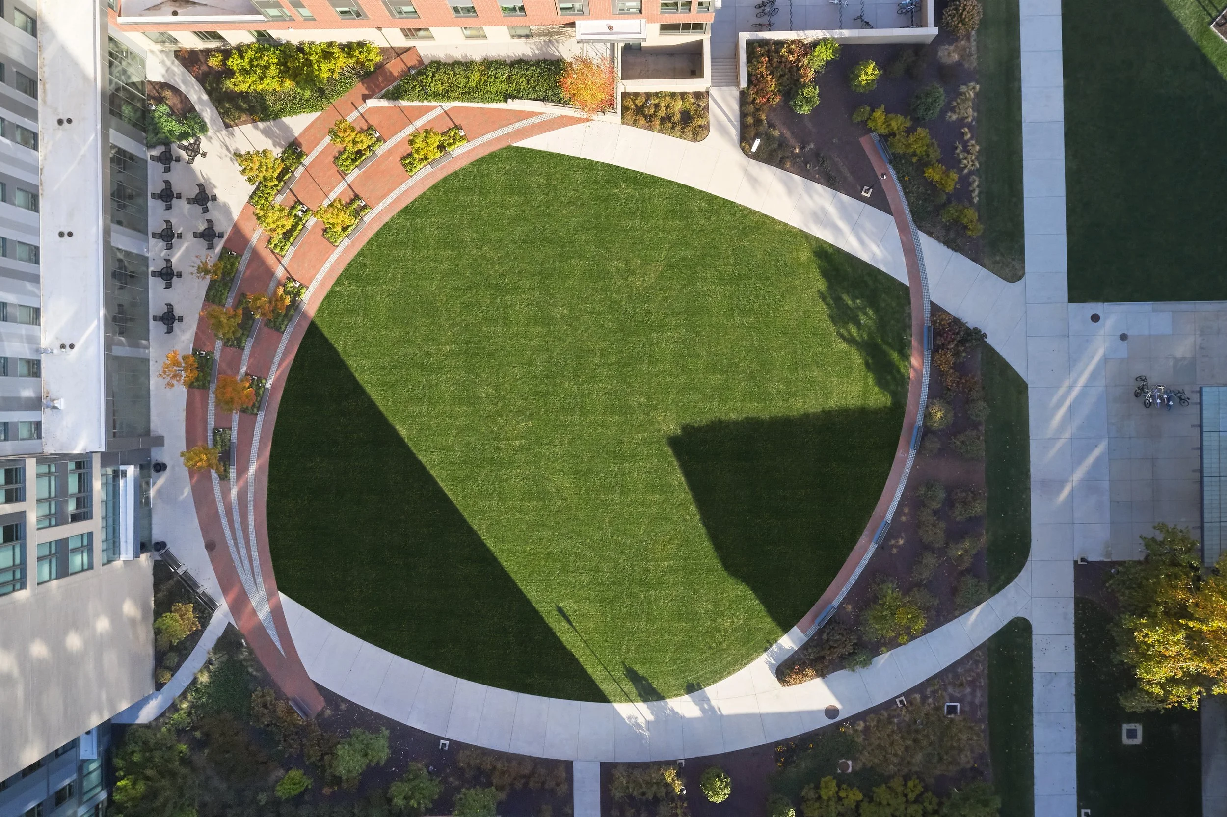 DJI_0081.jpg