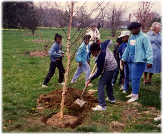 history_tab6_treePlanting_2.jpg