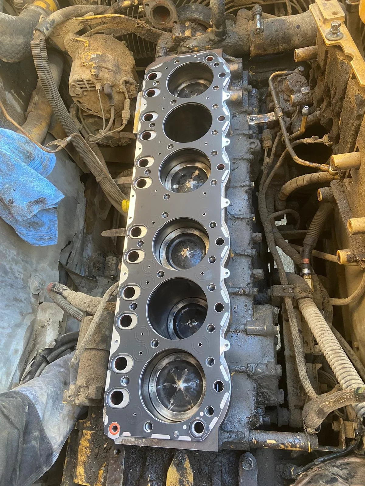 WhatsApp Image 2023-03-31 at 19.21.49 (2).jpeg