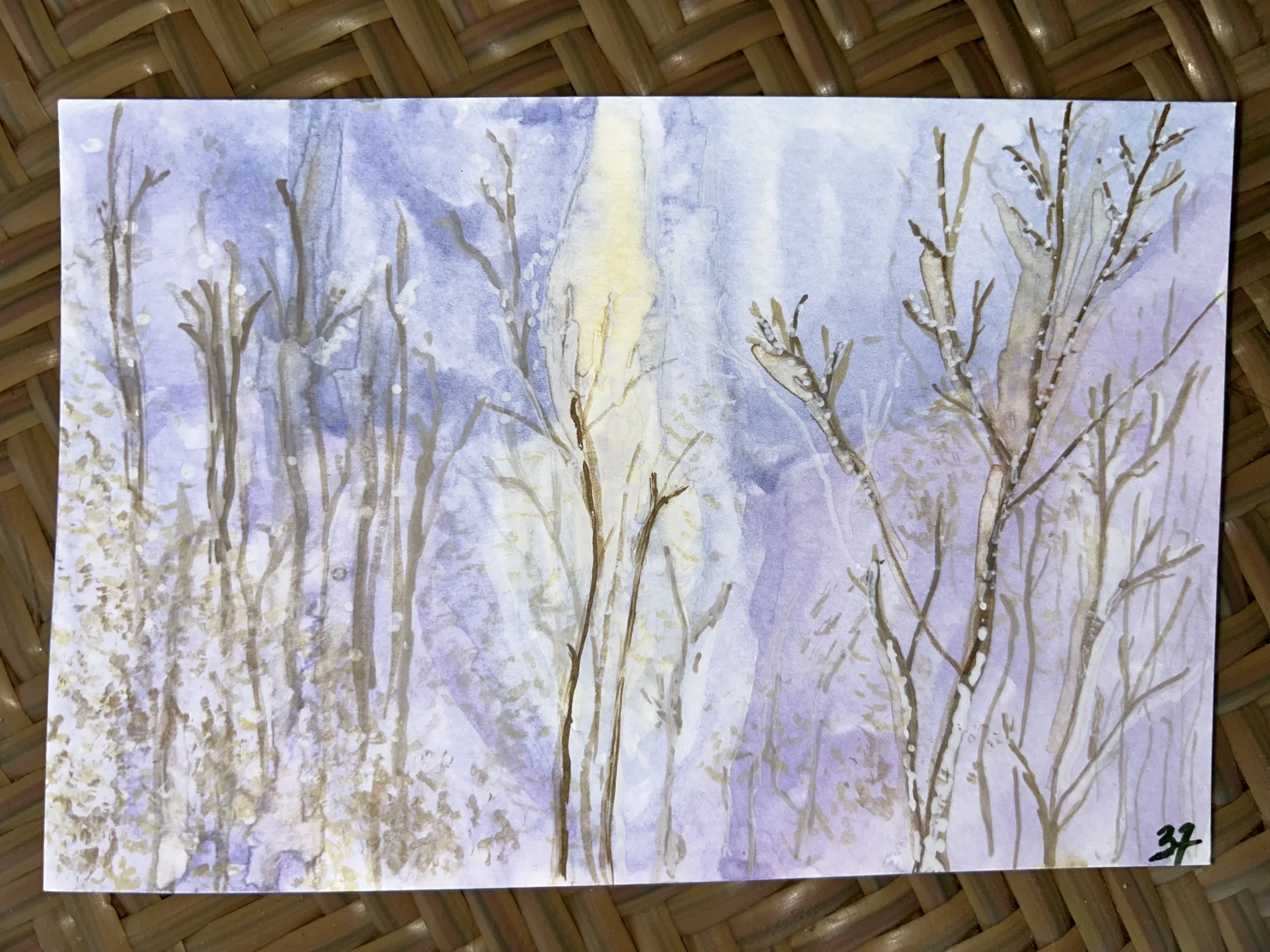 Ethereal forest.jpg