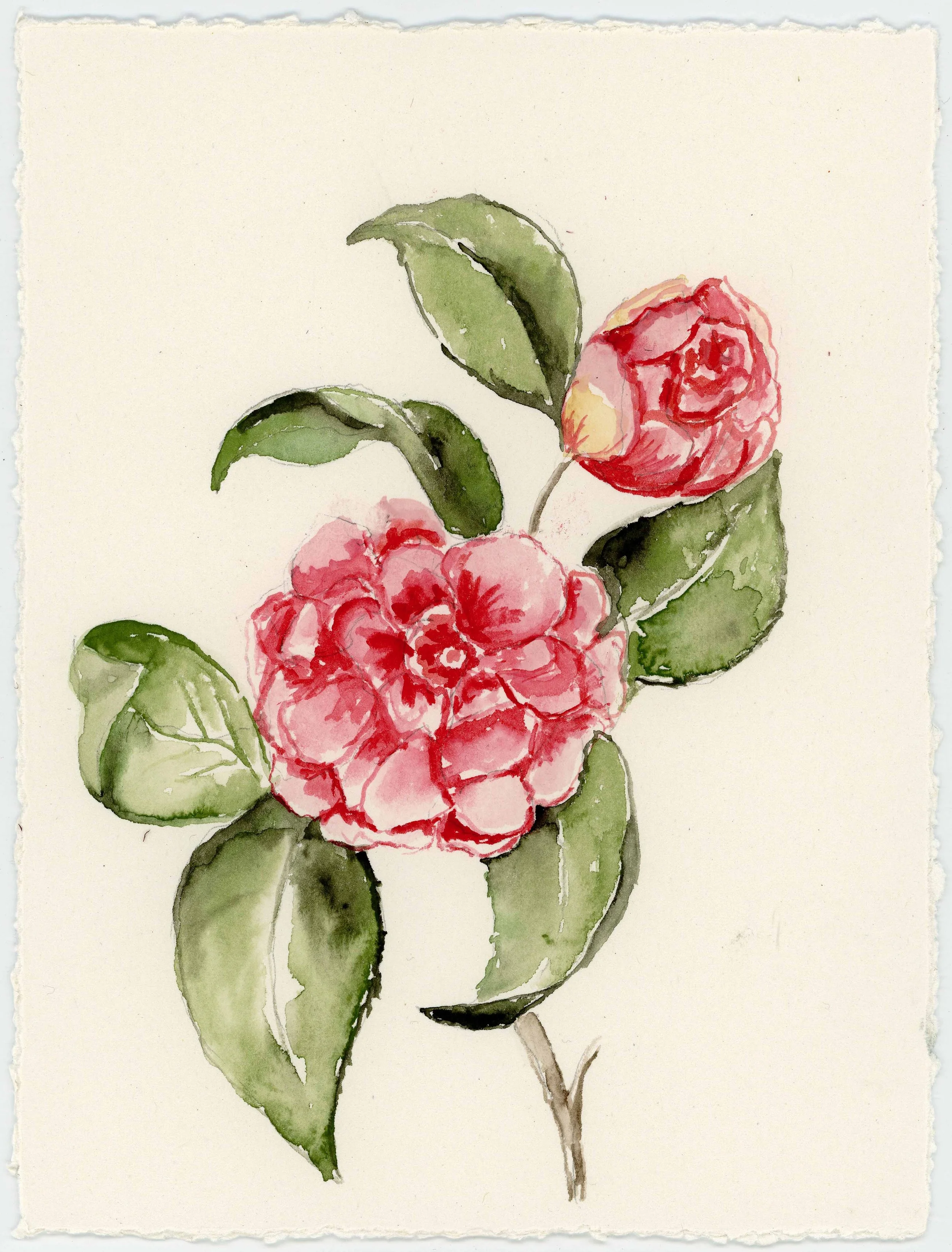 The Art of the Detail &amp; The Legacy of Art: How Bespoke Hand-Painted Watercolor Elevates Weddings and Brand Activations in 2026