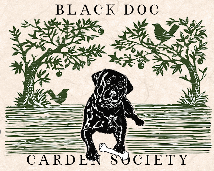 Vintage illustration of a black dog sitting on a pond's edge with two trees, a turtle, and two birds, with the text 'Black Dog Garden Society' above and below.
