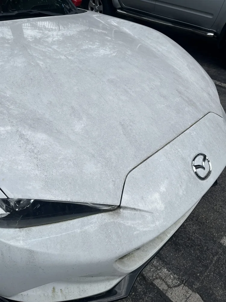 Dull, dirty white Mazda hood before detailing