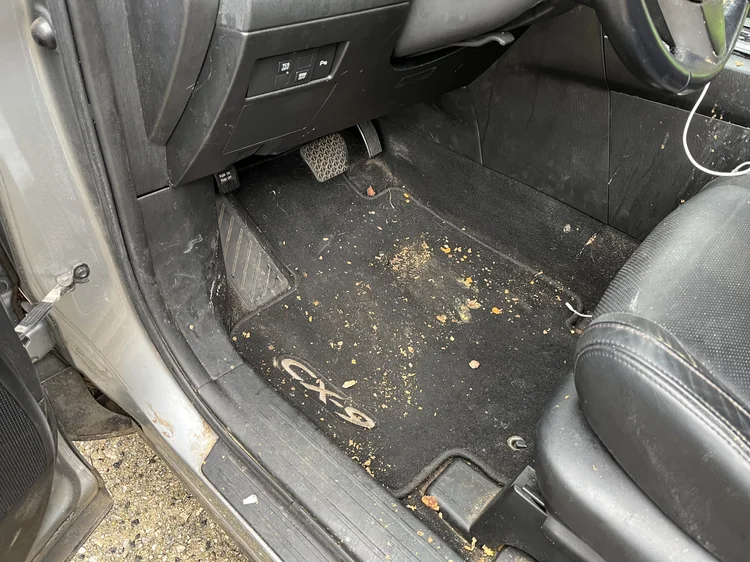 How to Clean Vomit from Car: Quick & Easy Stain Removal Tips