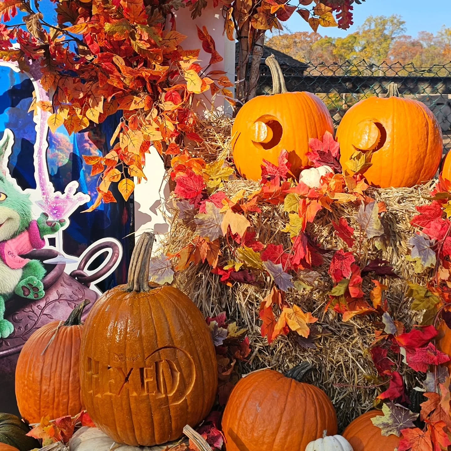 Something special is coming!!! ✨

Get ready for a little Disney magic!

Join @alliedglobalmarketing at Linvilla Orchards for an exciting ONE DAY ONLY experience celebrating Disney&rsquo;s upcoming film, HEXED!

The best part? This event is 100% FREE 