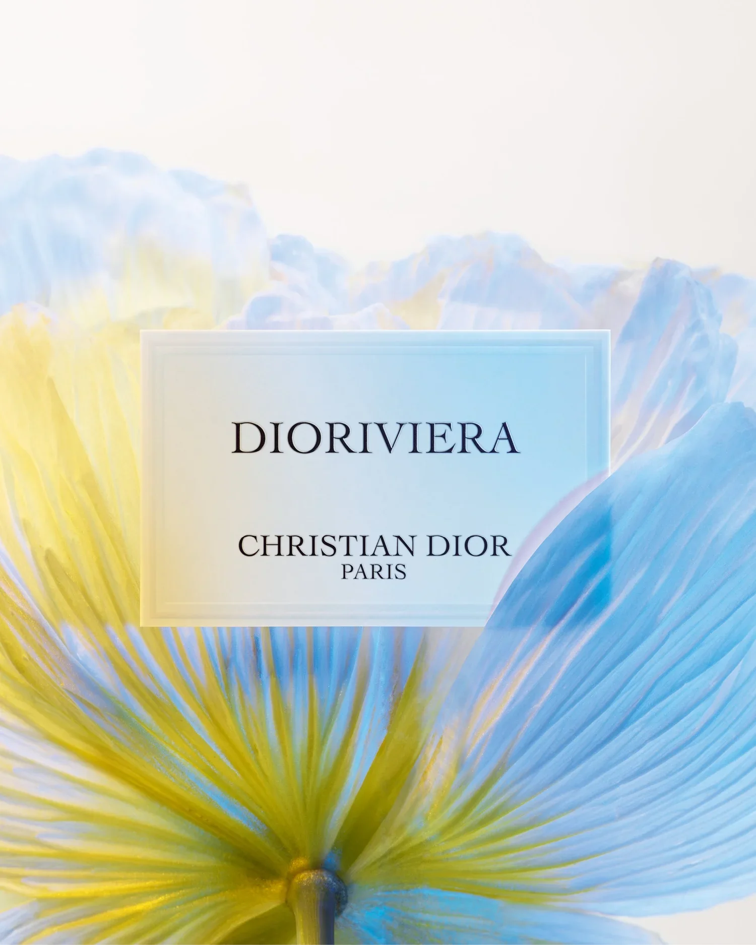 Dioriviera Launch Campaign
