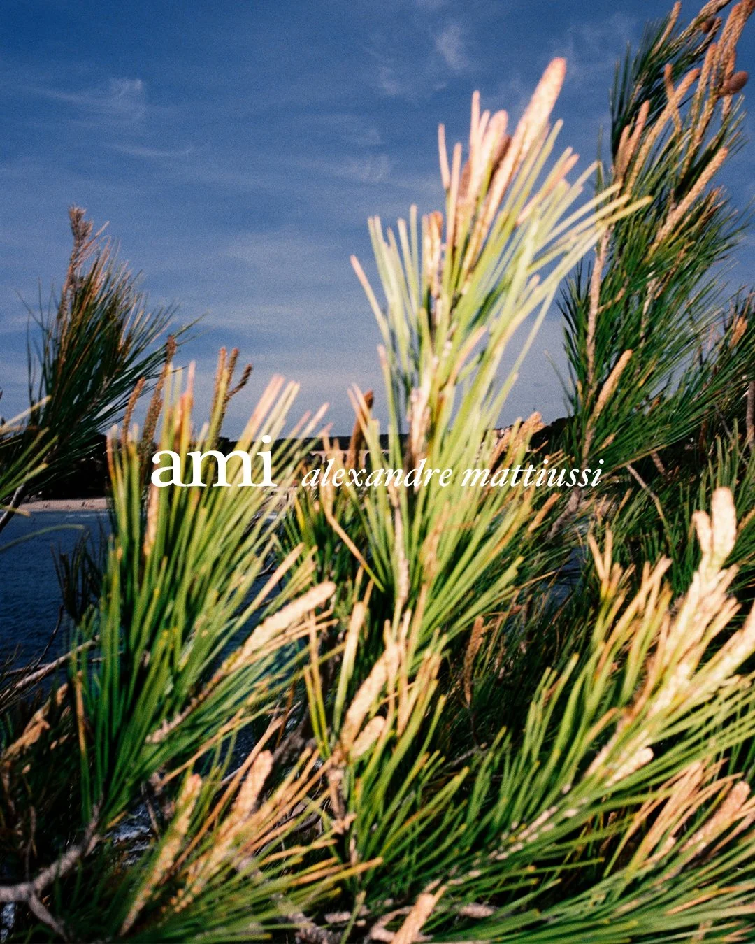 AMI_RESORT_4X5_13_LOGO.jpg