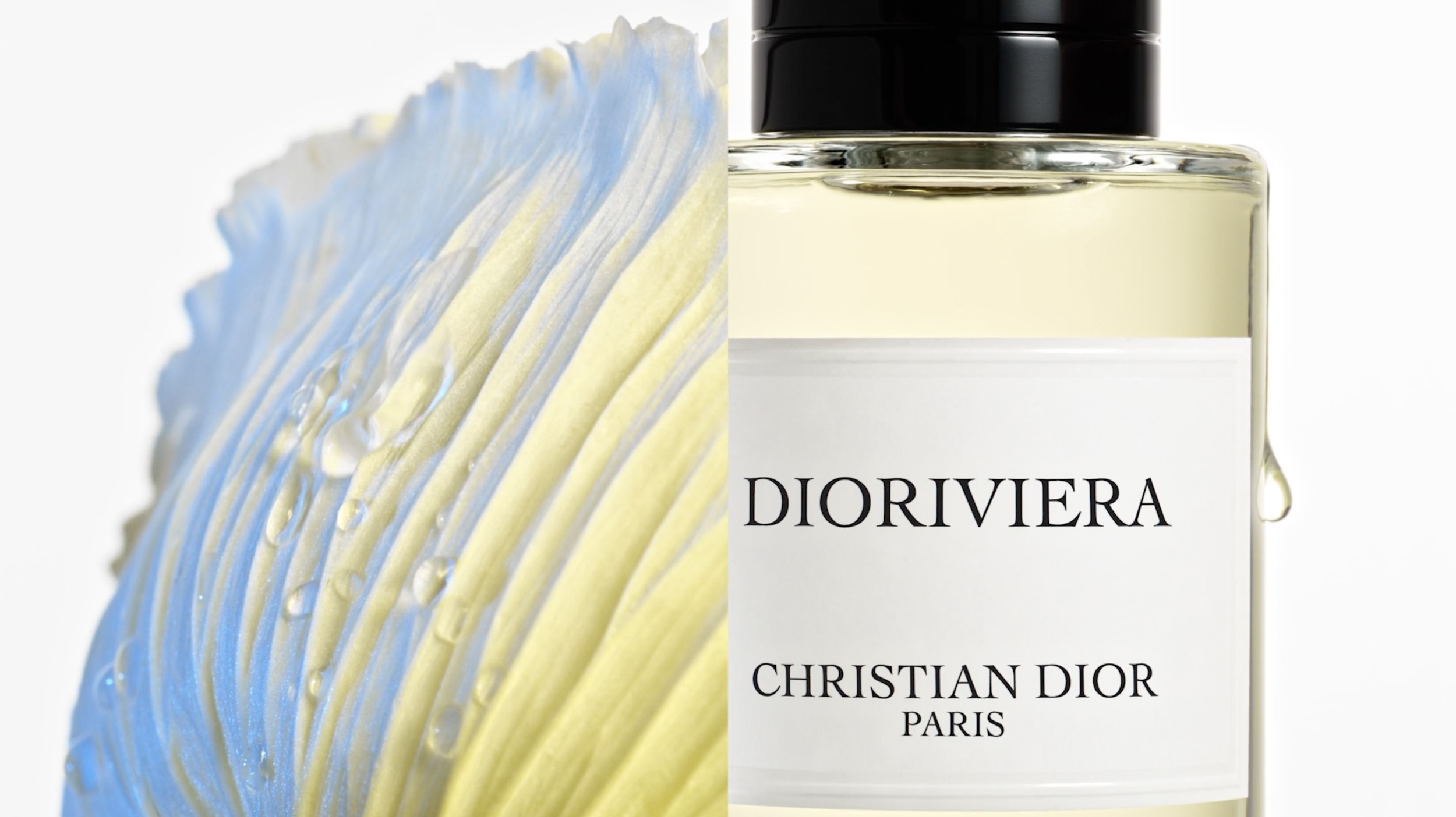 Dioriviera by Marius Hansen & Olle Bengtsson