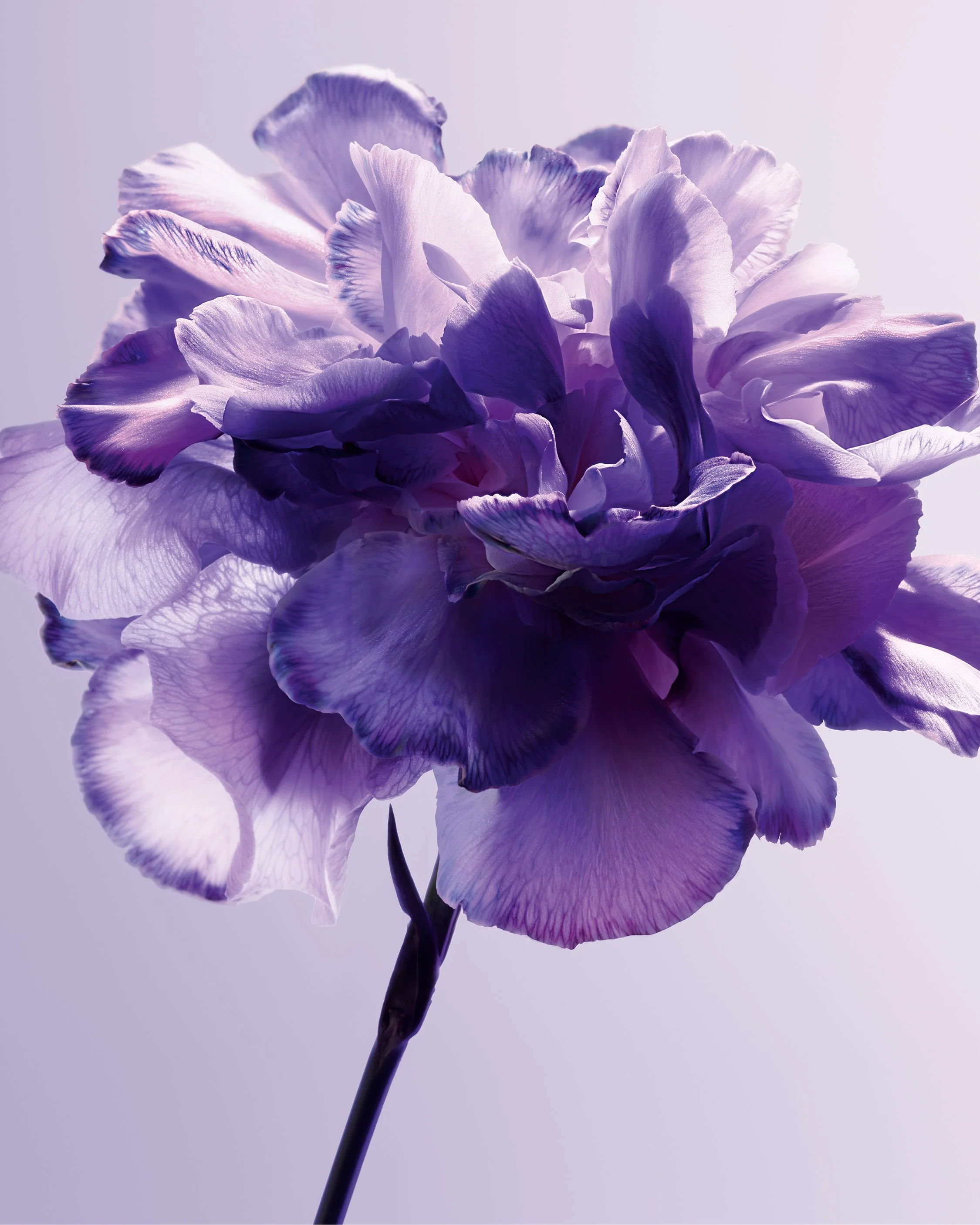 GRIS DIOR PRODUIT.jpg