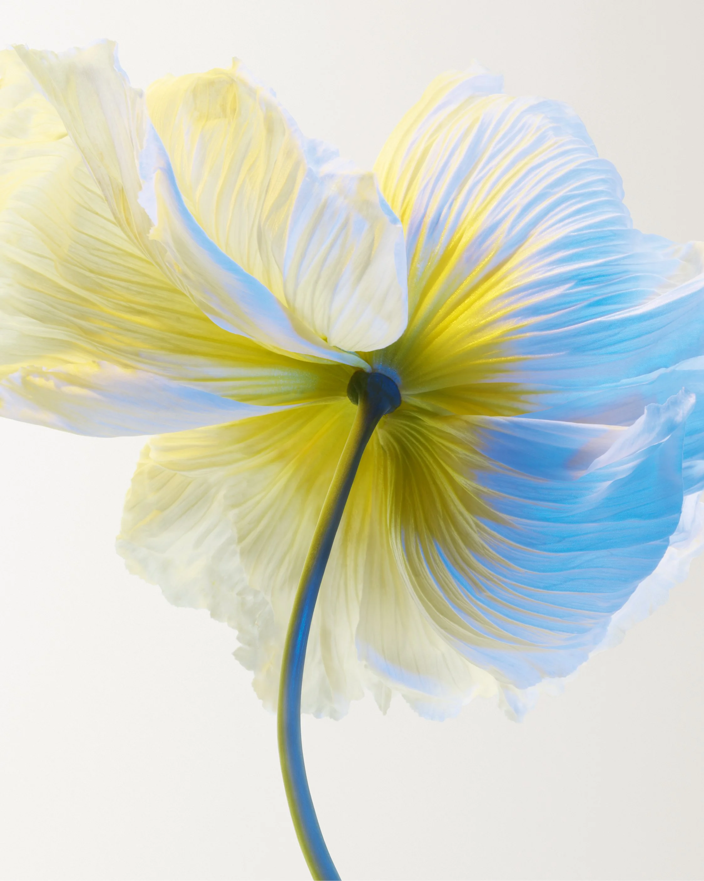 GRIS DIOR PRODUIT.jpg