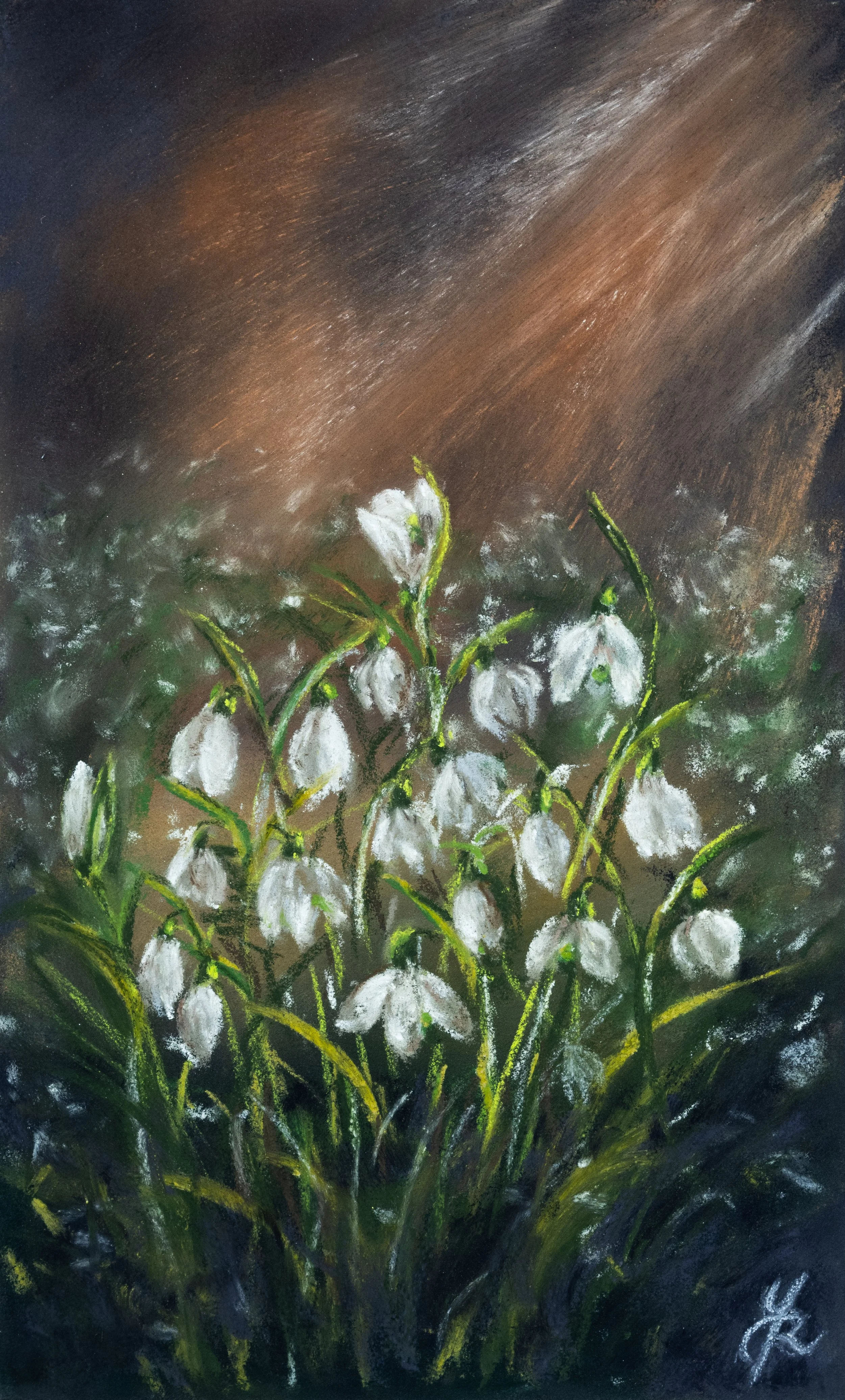 Snowdrops of Holyrood.jpg