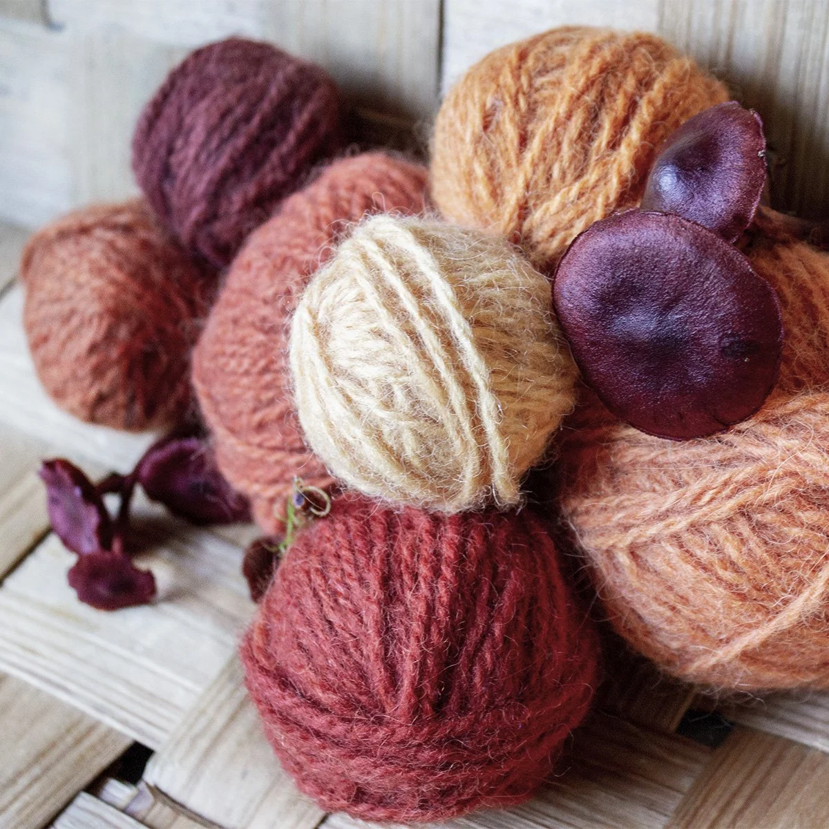 Värjää sienillä 14.4.2026