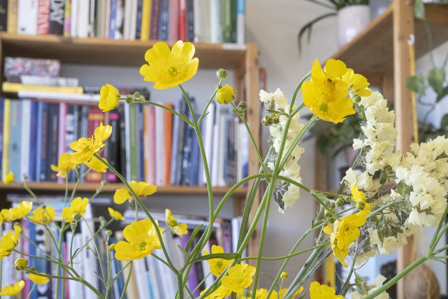 Kuvia 2023 WEB_29.JPG