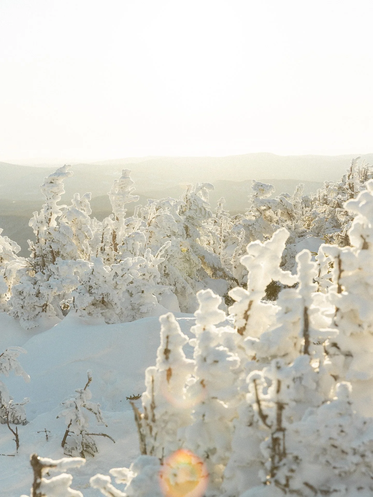 Winter&rsquo;s fairytale magic 🌬️ Que les aventures hivernales commencent 🤍🌲

#explorecanada #tourismequebec #parcscanada #travelcanada #explorequebec