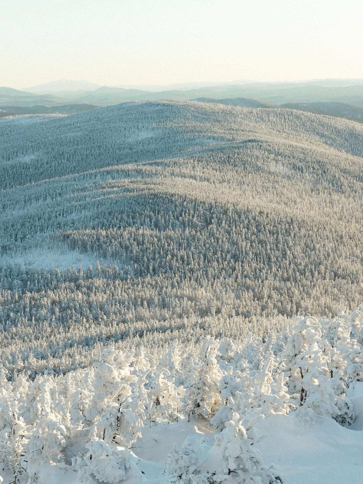 Mont Gosford, a winter dream I&rsquo;ll never get over 🥹🎞️✨

#montgosford&nbsp;#cantonsdelest&nbsp;#estrie&nbsp;#bonjourquebec&nbsp;#winterincanada #explorecanada #tourismequebec #parcscanada #travelcanada