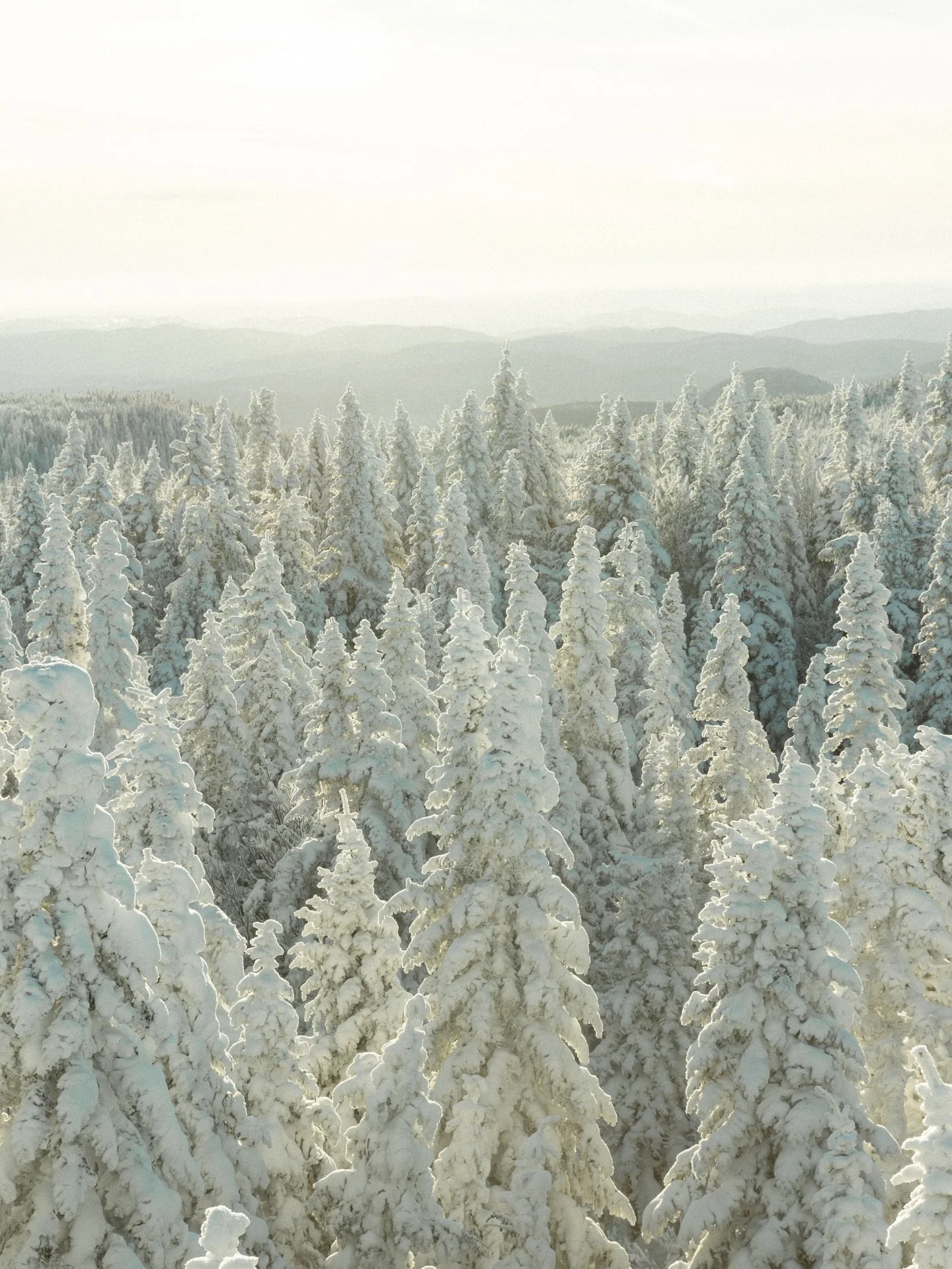 Winter dream 🌬️☁️

#explorecanada #tourismequebec #parcscanada #travelcanada #explorequebec
