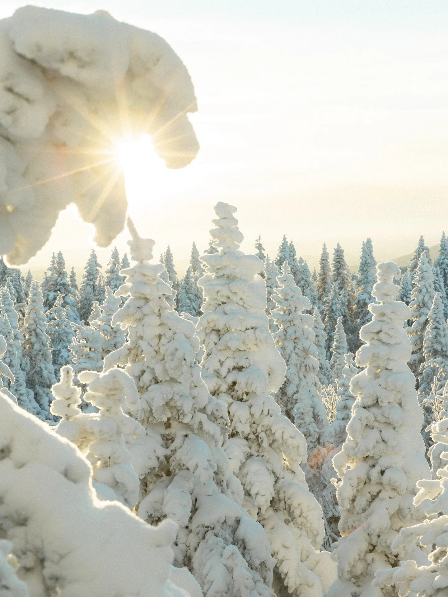 Archives d&rsquo;une de mes randonn&eacute;es coup de c&oelig;ur de l&rsquo;an dernier, alors qu&rsquo;on entre aujourd&rsquo;hui dans la 39e semaine 🥹🐻 (!!!)

Un tout nouveau chapitre, et notre p&rsquo;tit gars bient&ocirc;t dans nos bras. La plus