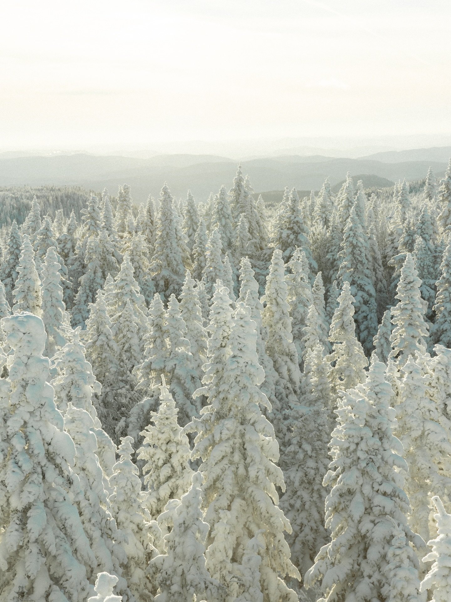 Winter dream 🌬️☁️

#explorecanada #tourismequebec #parcscanada #travelcanada #explorequebec