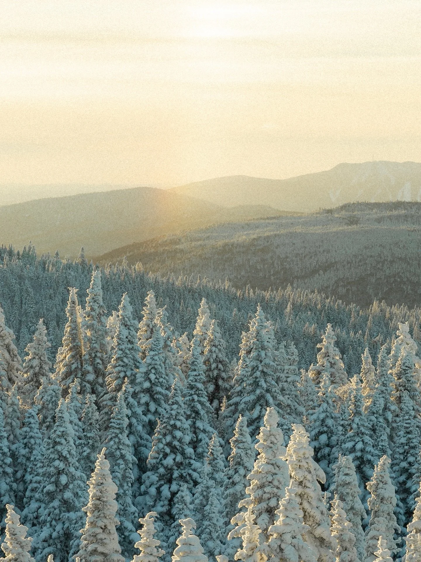 Recap 2025 🌙

January - slow snowy days
February - winter sunsets
March - nature &amp; home growing
April - friends &amp; shaping home
May - everything in bloom
June - our greatest harvest
July - sisters&rsquo; trip &amp; home moments
August - meeti