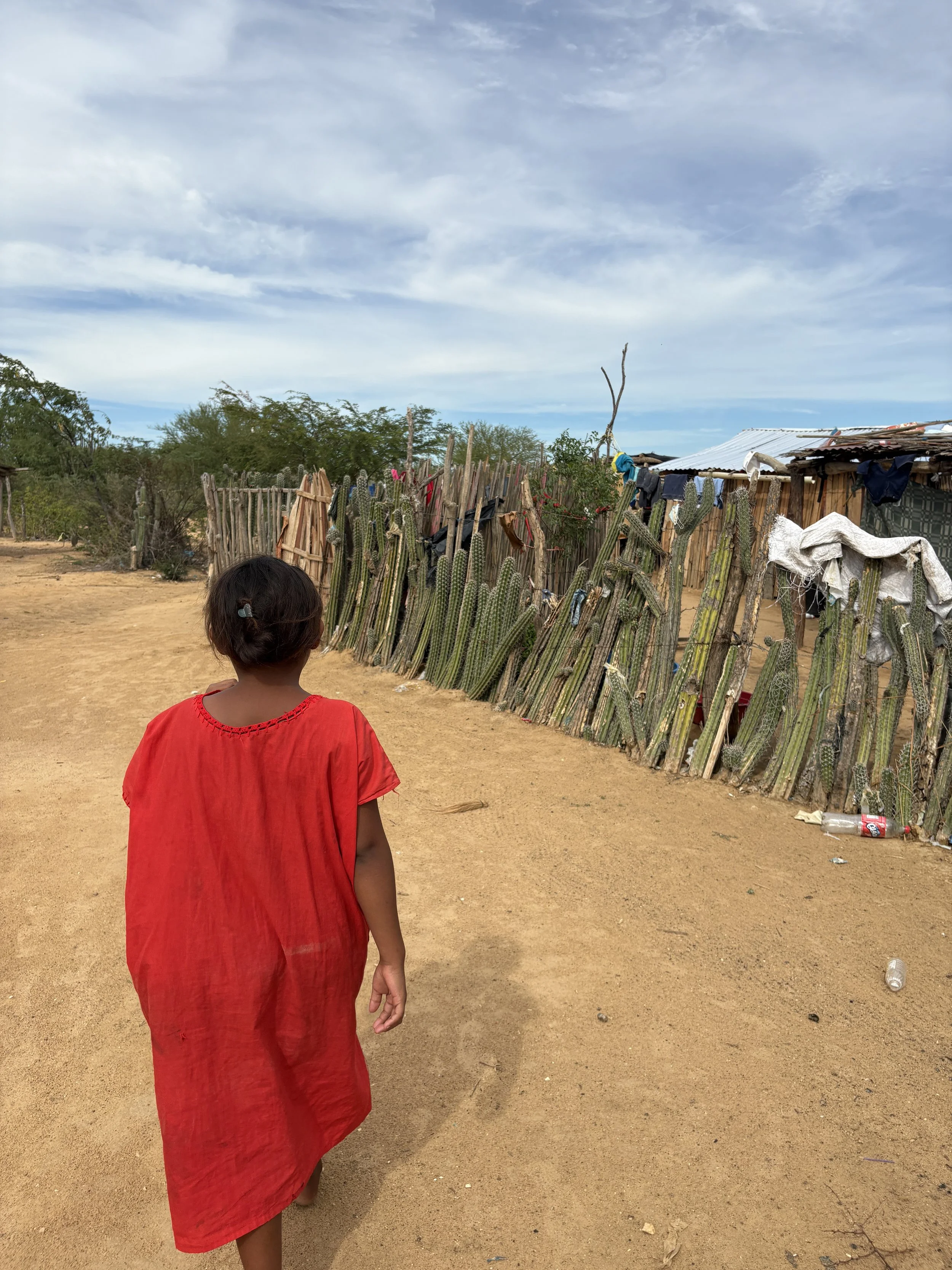 Realidades y desafíos de la Sentencia T-302 de 2017