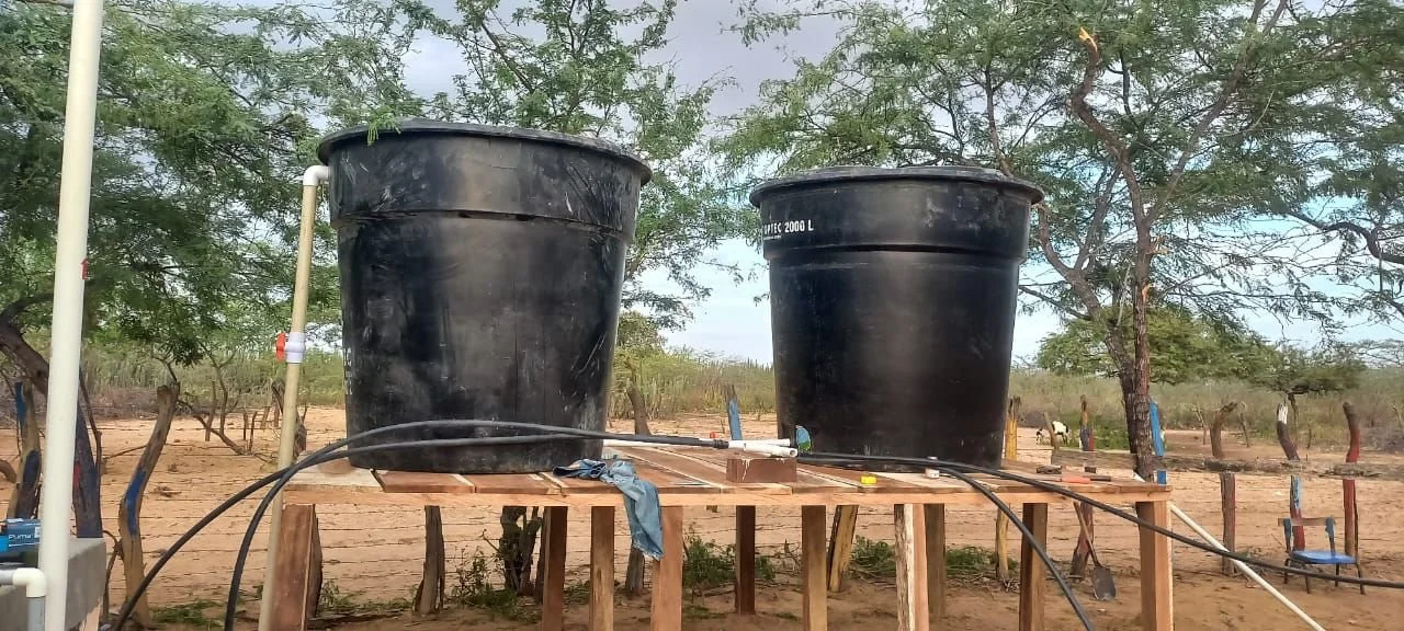 WhatsApp Image 2025-11-20 at 10.04.19 AM (2).jpeg