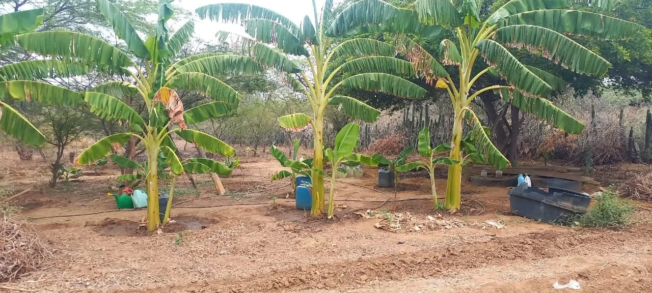 WhatsApp Image 2025-11-20 at 10.04.19 AM (1).jpeg