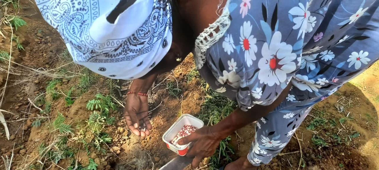 WhatsApp Image 2025-11-20 at 10.04.18 AM (2).jpeg