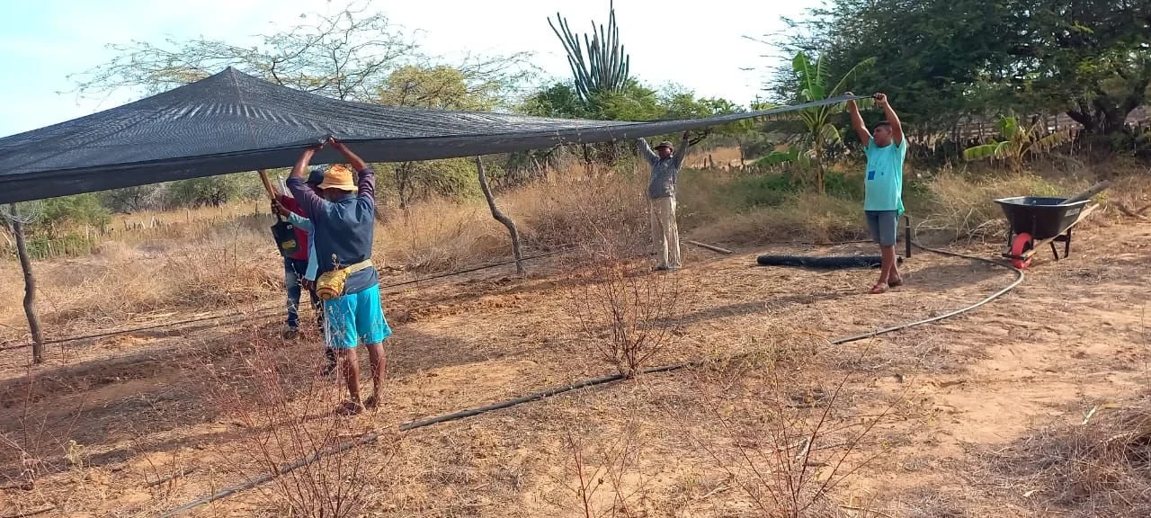 WhatsApp Image 2025-11-20 at 10.04.18 AM (1).jpeg