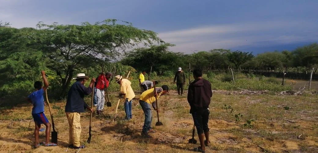 WhatsApp Image 2025-11-20 at 9.58.22 AM.jpeg